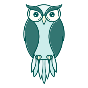wise girl workshops owl